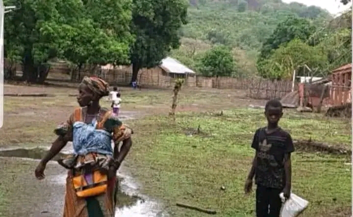 Boé: Saco de arroz custa até 32 mil francos CFA