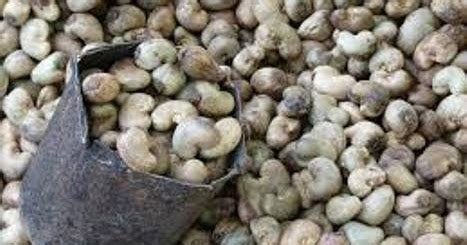 Guiné -Bissau:  FMI alerta para os riscos económicos