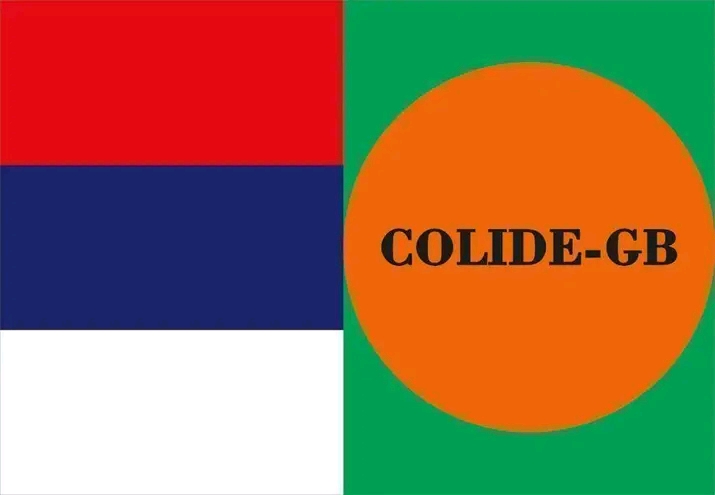 COLIDE-GB critica à liderança da CPLP por um “ex-presidente”